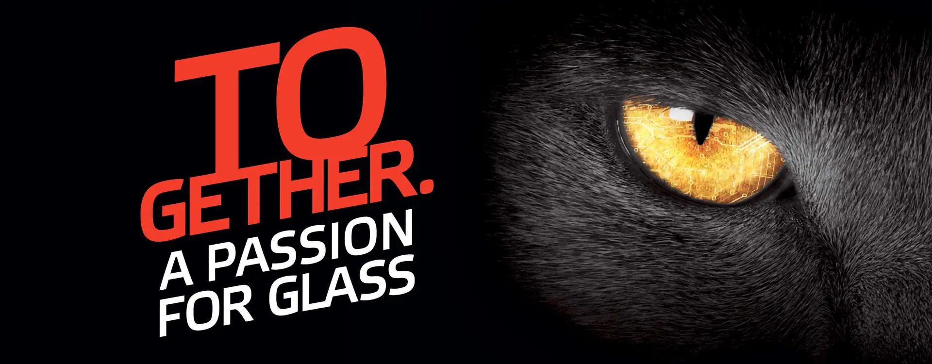 Softsolution - LiteSentry - Strainoptics new claim: Together a passion for glass