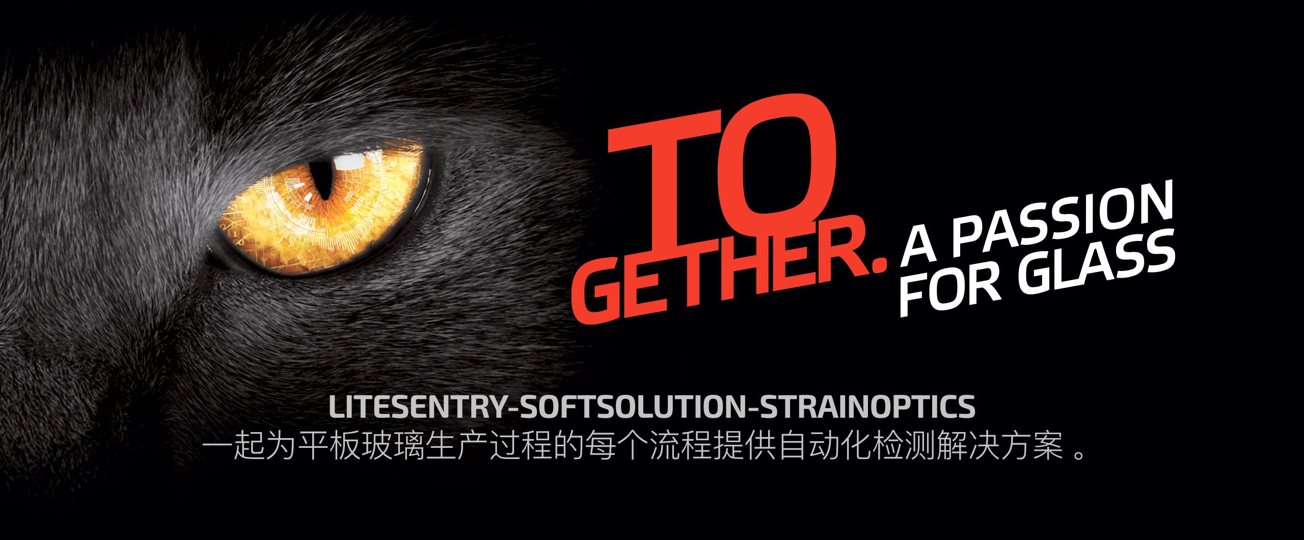 标语：共同热爱玻璃——隆重推出Osprey25